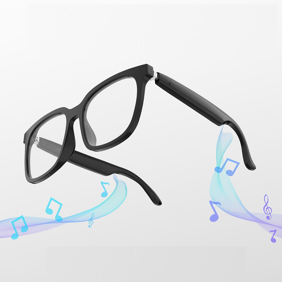 Linguist Smart Glasses Live AI Translation