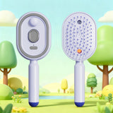 Silk Stream Mist Brush Electric Anti-Static Oil Spray Massager